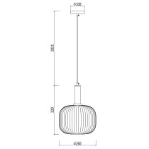 Modern design of pendant lamp FRANCESCO, transparent lampshade