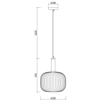 Modern design of pendant lamp FRANCESCO, transparent lampshade